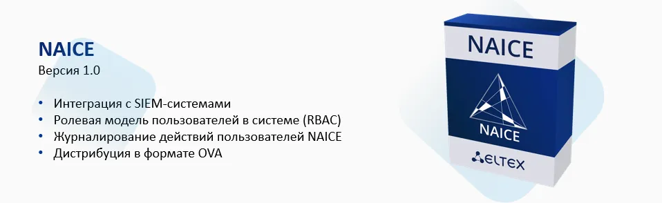 NAICE 1.0.png