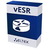 vESR – Виртуальный сервисный маршрутизатор