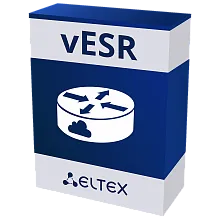 vESR – Виртуальный сервисный маршрутизатор