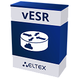vESR – Виртуальный сервисный маршрутизатор